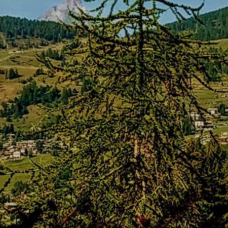 Chez tonton Villa Aosta Kültér fotó