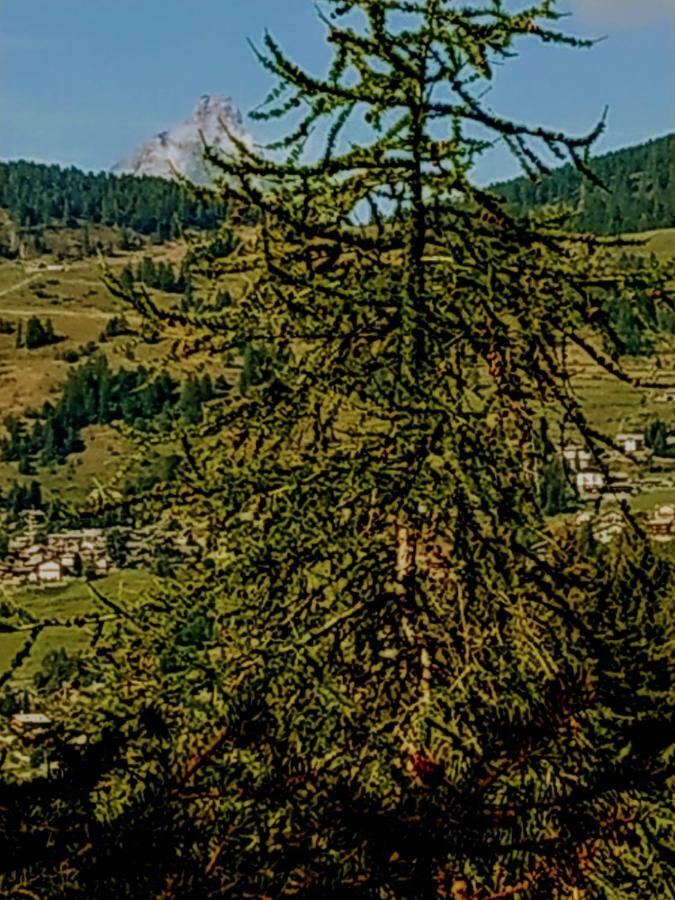 Chez tonton Villa Aosta Kültér fotó